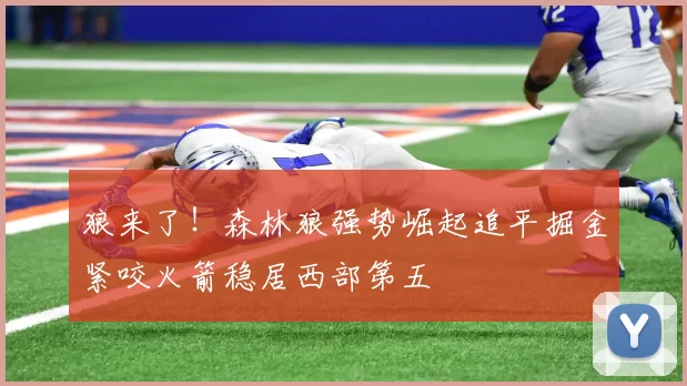 狼来了！森林狼强势崛起追平掘金紧咬火箭稳居西部第五